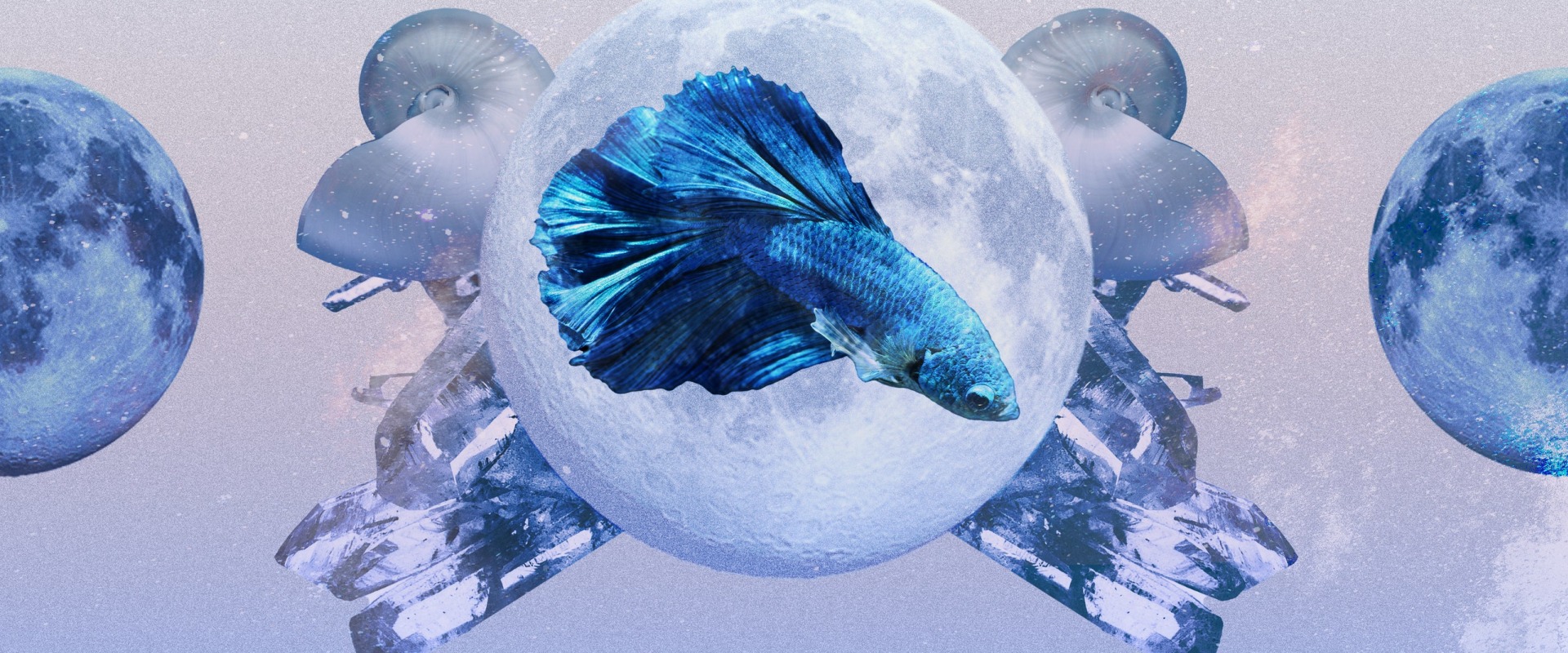 Pisces Monthly Horoscope: What to Expect this Month