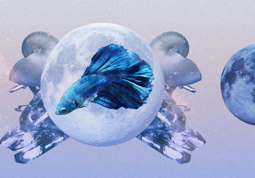 Pisces Monthly Horoscope: What to Expect this Month