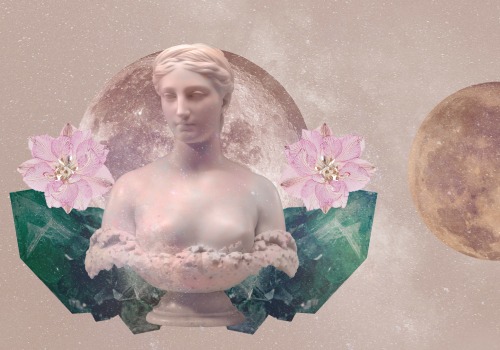 Virgo Monthly Horoscope: What to Expect This Month